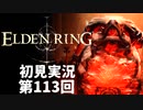 【初見実況】エルデンリング 第113回【手汗かき人が逝く】
