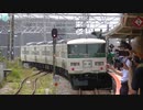 【乗車記録】　快速　鎌倉あじさい号　185系