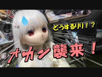 【ラブドールとの日常】オ　カ　ン　襲　来　！　どうするリリ！？【ゆっくり解説・ゆっくり茶番劇】