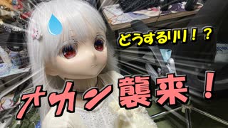 【ラブドールとの日常】オ　カ　ン　襲　来　！　どうするリリ！？【ゆっくり解説・ゆっくり茶番劇】