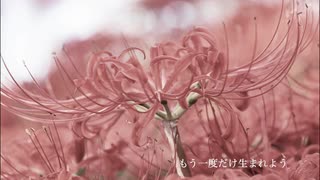 【巡音ルカ】流転/ビビア