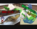 絵を描くのだ【347日目】
