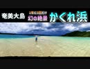 【奄美かくれ浜】1年に数度しか現れない幻のビーチに上陸してみた！