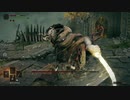 【初見プレイ】ELDEN RING＃11【実況】