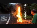 【第48回】送り火と荷造りとニガウリ