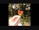 急いで急いで来たけれど(feat. 知声 & さとうささら)