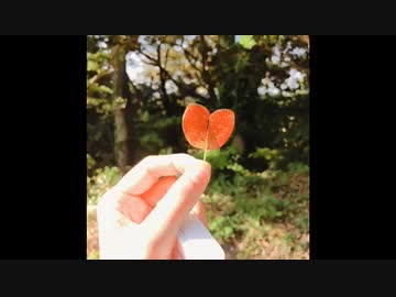 急いで急いで来たけれど(feat. 知声 & さとうささら)