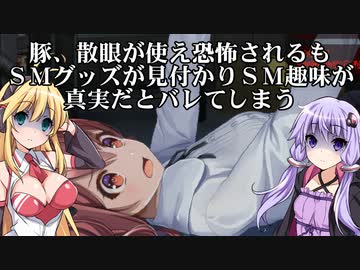 緊張感のないゆかりさんの所為で豚が変態扱いされるホラーゲーム 其の４
