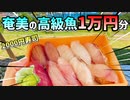 【奄美寿司】1万円で奄美産の魚を食べて漁師を応援するぞ！