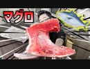 離島で釣れた60㎏級マグロの頭を食べる
