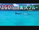 【加計呂麻島】360°広がる"実久ブルー"見るだけで癒されます