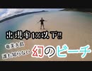 1年に3回だけ奄美に現れる「幻の浜」に行ってみた