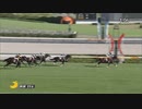 【競馬】2022年　セントウルS(G2)　【メイケイエール】