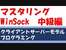 マスタリング WinSock 中級編 クライアント・サーバーモデル