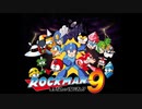 [VHS録画]「ロックマン9（Wii）」8大ボスステージ挑戦！（2009年頃）