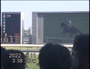 21年前のビデオカメラ（miniDV）で第36回セントウルステークスを撮影してみた＠中京競馬場【2022年9月11日】