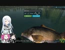 【大物は全部】ツリアル・八匹目【コイ科ですね?】