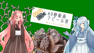 【60秒動画アピール祭】茜と葵の植物語り草【自己紹介】