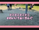 まめしばのウォーキング　#shorts #豆柴 #柴犬