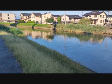 宮沢孝之先生、野中しんすけ氏ｃｈにゲスト出演(ウィルス変異は人間が選択している!・自粛で引きこもっているのは時間の浪費に等しい)武田邦彦先生、沖縄現地で天気報道のデタラメさを実感【アラ還読書中毒】