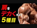 【筋トレ】肩をデカくする 5つの種目 | 現役ボディビルダーが解説【ビーレジェンド プロテイン】