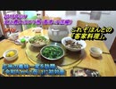 中国深圳旅行記 2019年5月 Trip in China 広州の義妹一家を訪問、「令和ちゃん（仮）」に初対面 【史上最大のロケ旅（中国・香港編）】 #010