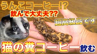 「ネコのうんこコーヒー」実際どうなのか、料理人が飲んでみた！