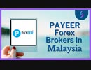 Payeer Forex Brokers In Malaysia - Forex Trading in Malaysia