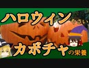 【ゆっくり解説】カボチャの栄養について解説！