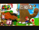 【実況】ある3Dランドでマリオは人間じゃない前提を確認してみました（大失敗）part1