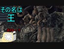 【実況】寄生虫がエルデンリングの世界にやってきたの　４９【初見プレイ】