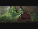 好奇心開発集団が猫と戯れる【stray】#1