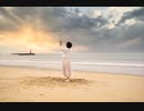 【はなみん】 曖昧さ回避 【踊ってみた】