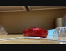 【ASMR】【ジュエリースライム】ASMRのつもりでASMRやってみた