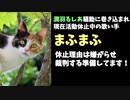 まふまふ、活動休止の理由は半年にわたる嫌がらせだと発表