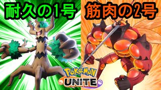 耐久と筋肉でやらせてもらってます【ポケモンユナイト】
