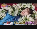 ノリノリお葬式