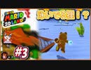 【実況】ある3Dランドでマリオは人間じゃない前提を確認してみました（大失敗）part3
