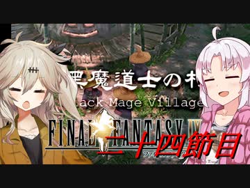 [FF9]ついつむナイン【二十四節目】