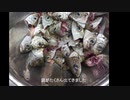 魚釣りに行ってきました