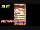 白猫　リゼロコラボ２ナイトメア攻略　戦いの準備　ガチャキャラ　レム（槍）、ラム（双剣）、エミリア（弓）、ベアトリス（杖）　＃３９　【白猫プロジェクト】