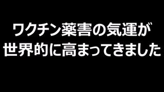 ワクチン薬害の気運が世界的に高まってきました