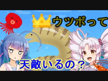 ウツボって天敵いるの？