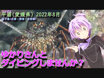 【平碆(愛媛県)】ゆかりさんとダイビングしませんか？