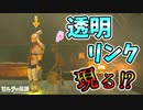 無でBLSSしようとしたらリンクさんが新能力に目覚めた【ブレワイ BotW】裏技 バグ 検証 ゆっくり実況 glitch
