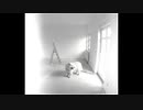 【初音ミク】Clear Age