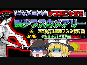 【1883年ｱﾒﾘｶ】倒れる家族たちの中心には、いつも彼女がいた『腸チフスのメアリー』 ~無症候性キャリアとして隔離された20年あまり~【ゆっくり解説】