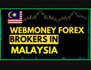WebMoney Forex Brokers In Malaysia - Forex Brokers
