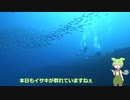 【ずんだダイビング】伊豆大島 中編 2022-08