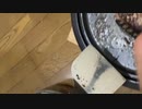20220725_1046 - 飲み会脱出失敗ｗ (lv337858582)